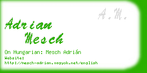 adrian mesch business card